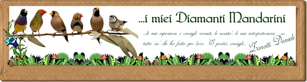 PHOTOEXPERIENCE OF DIAMANTI MANDARINI