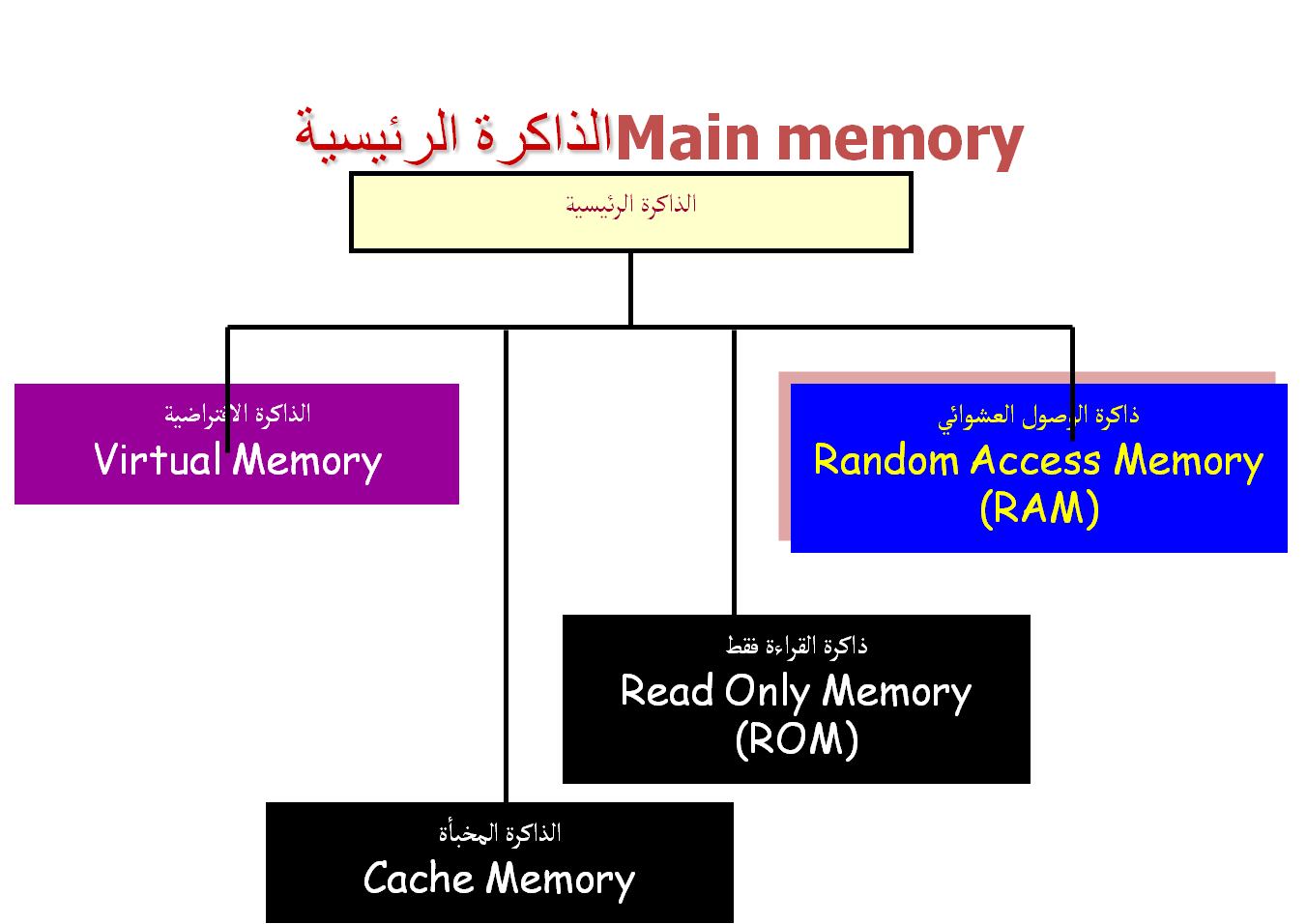 الرئيسية هي للحاسب الذاكرة نقصد بالمصطلح