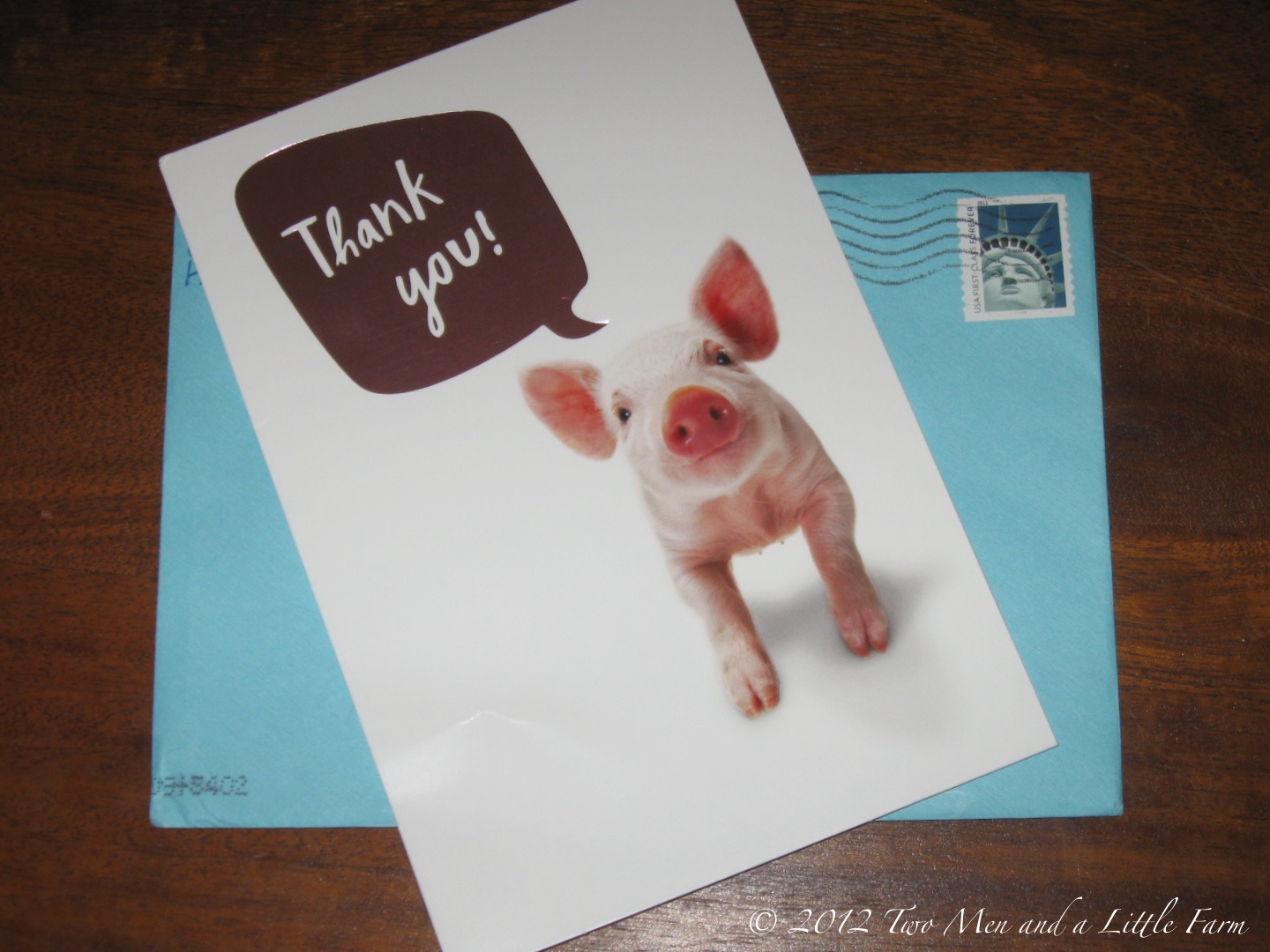 pig thank you