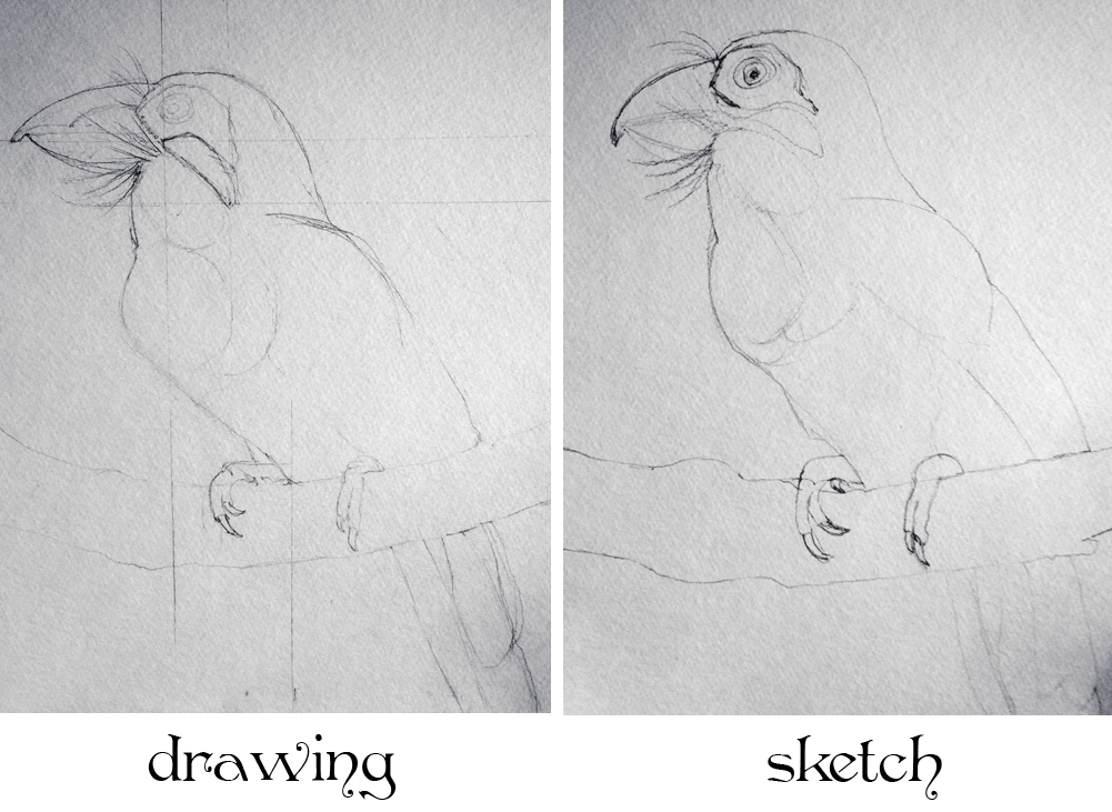 Animal What Is The Difference Between Drawing And Sketching for Kindergarten