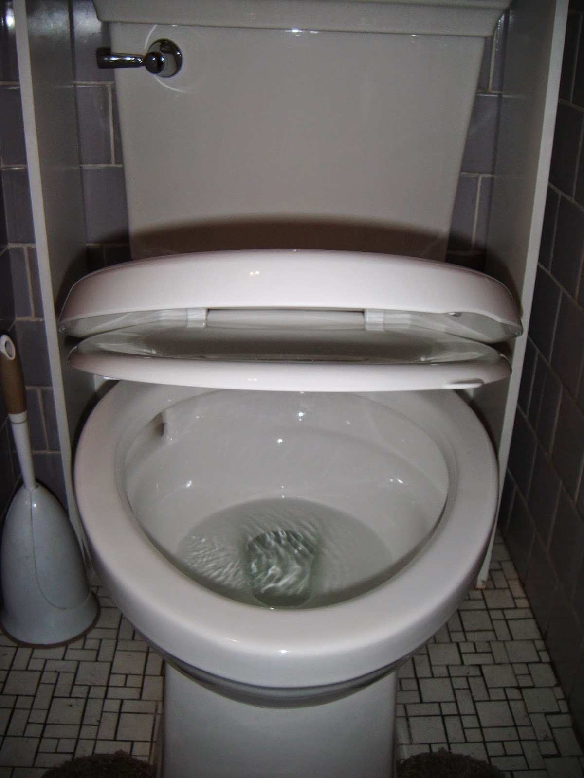 The ABCD Diaries American Standard Optum VorMax Toilet Delivers a