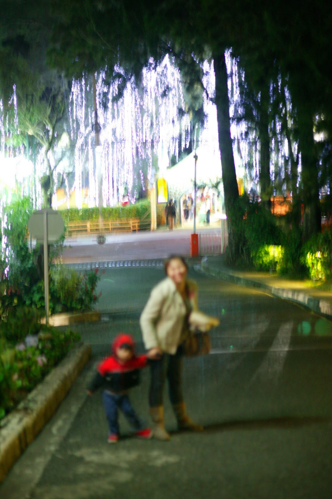 The Mediocre Wanderer Snowfall At The Baguio Country Club!