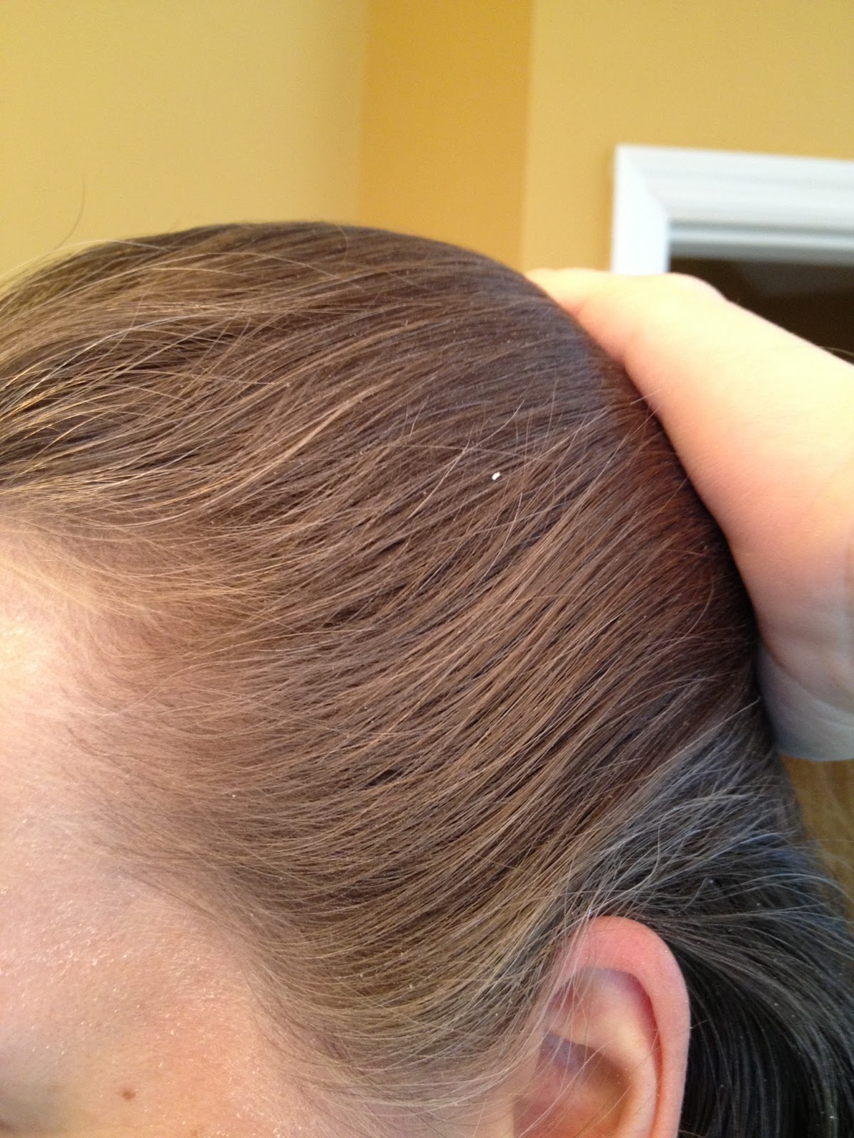 The DIY Guinea Pig Dry Shampoo or Halloween Makeup?