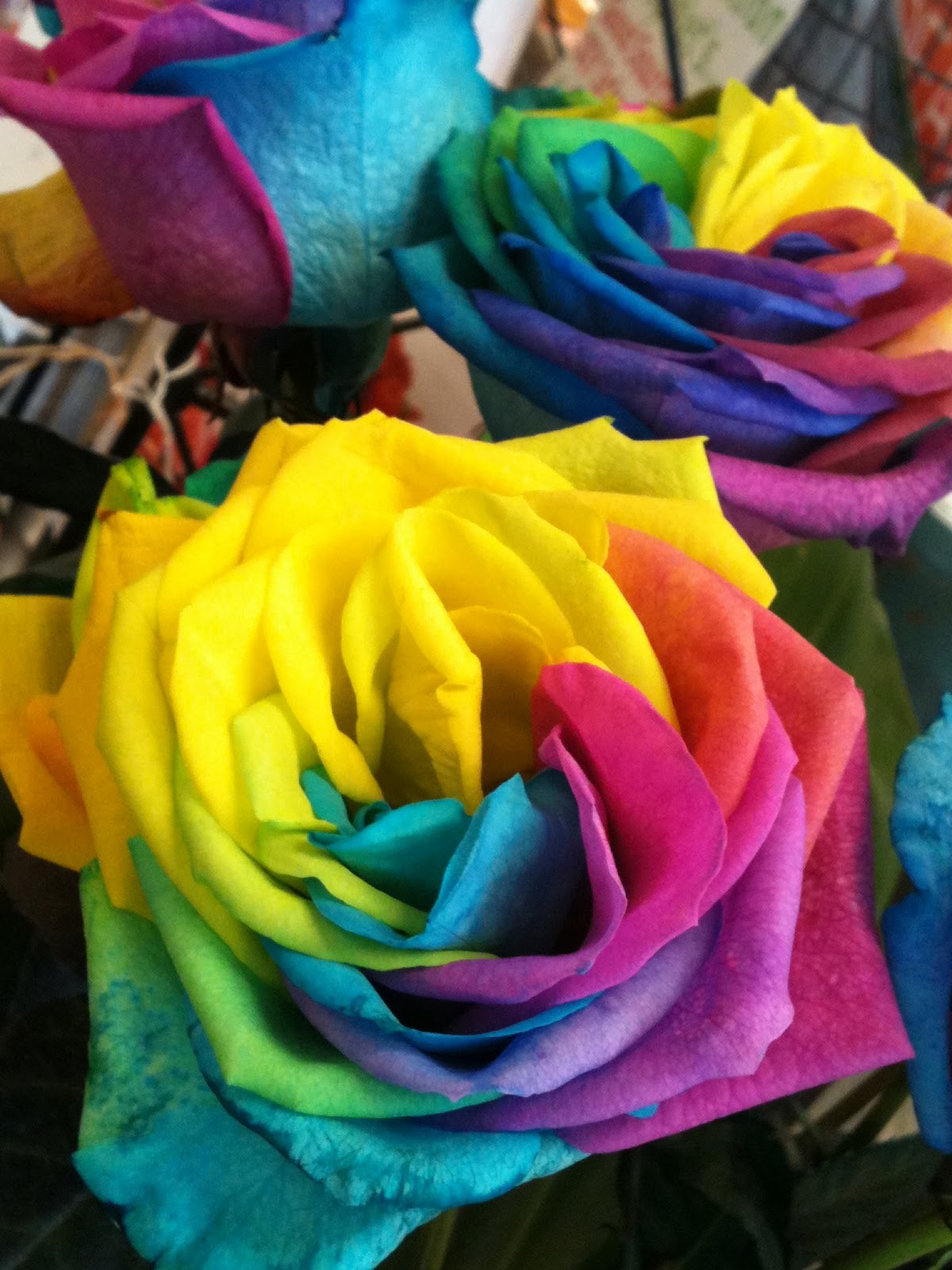 Gilding Lilies Journal Flowers On A Friday Groovy Roses