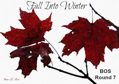 BOS Round 7 Theme "Fall Into Winter"