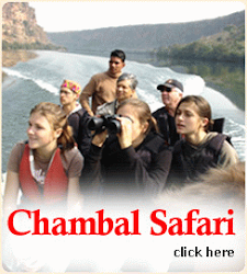 River Chambal Safari