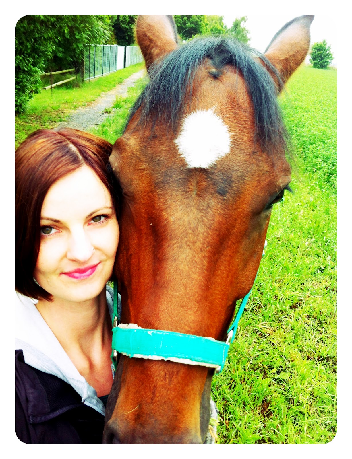 Serendipity is Life Neues vom Pferd&hellip;