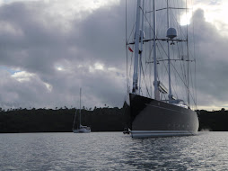 close-up bow shot