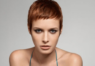 I have decided to cut it! I have decided to cut it!