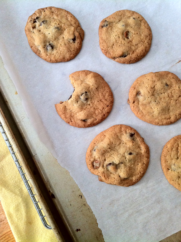 Tramie's Kitchen THE best cinnamon chocolate chip cookies