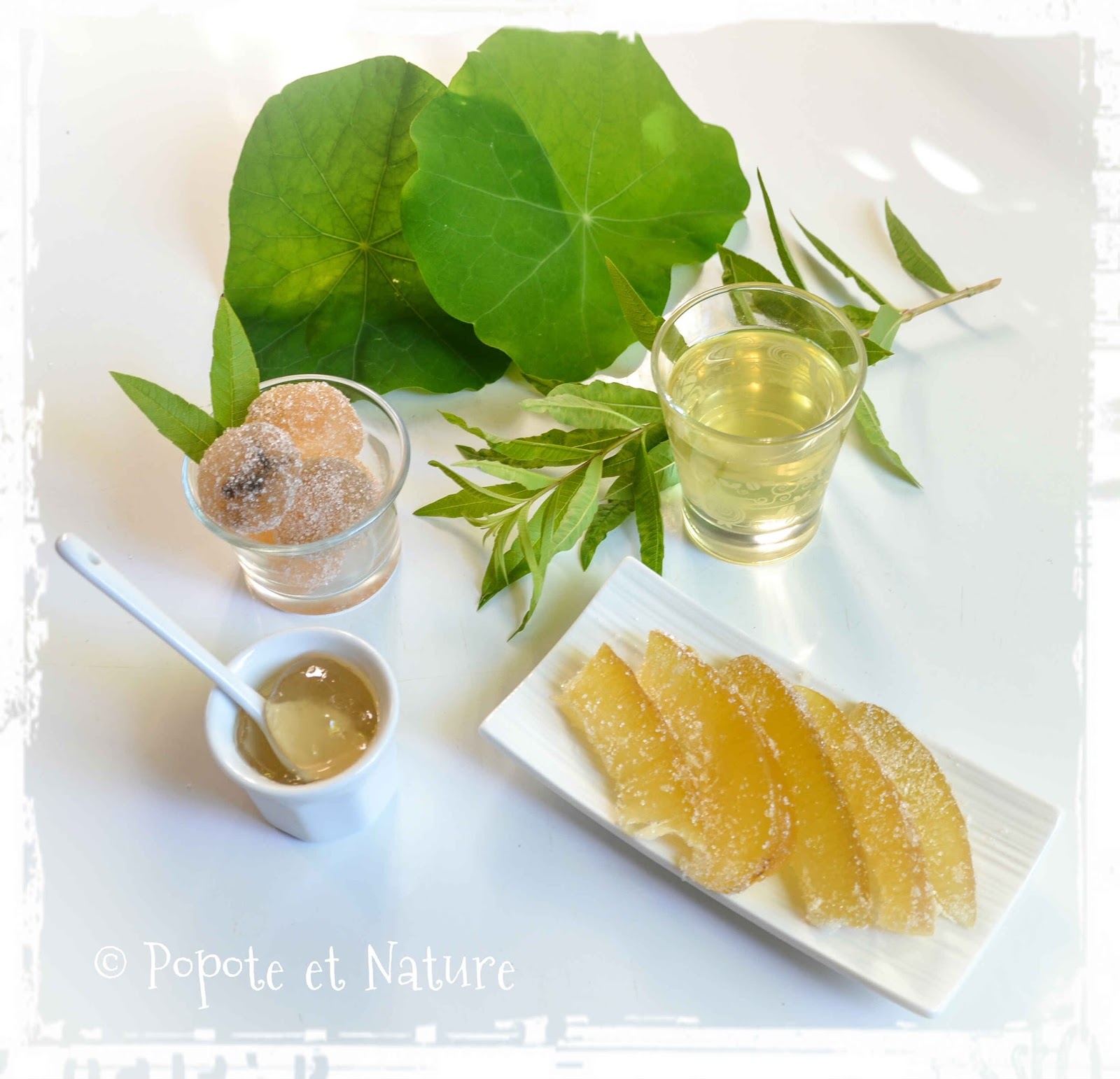 Popote et Nature: Un cédrat - 3 recettes et un bonus