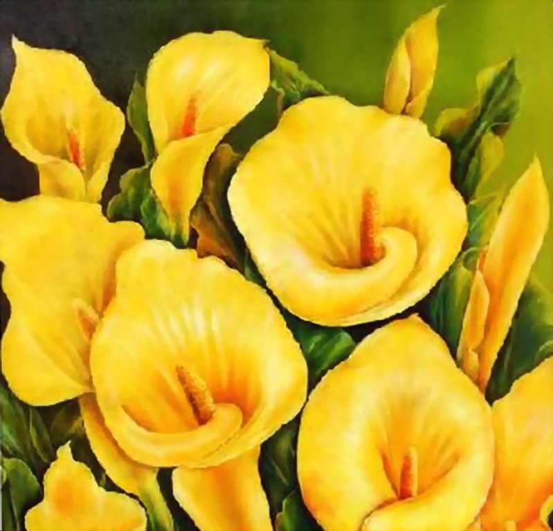 flores, imágenes Cartuchos wallpapers, vector de la flor