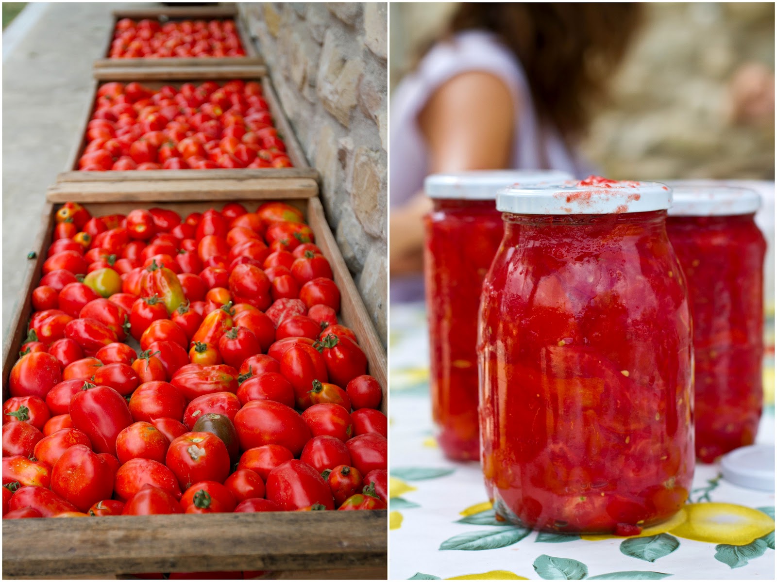 La Tavola Marche How to Jar Tomatoes in 6 Simple Steps