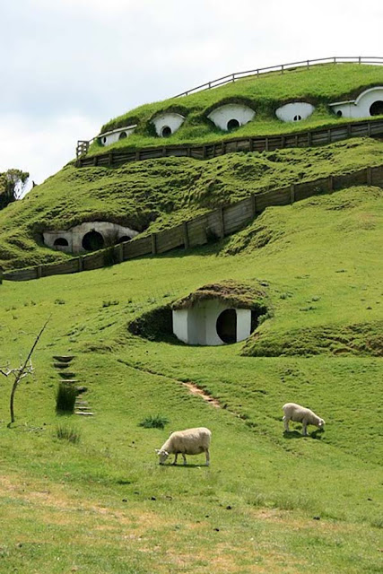 Hobbit Houses in New Zealand