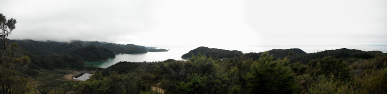Torrent Bay, Abel Tasman NZ