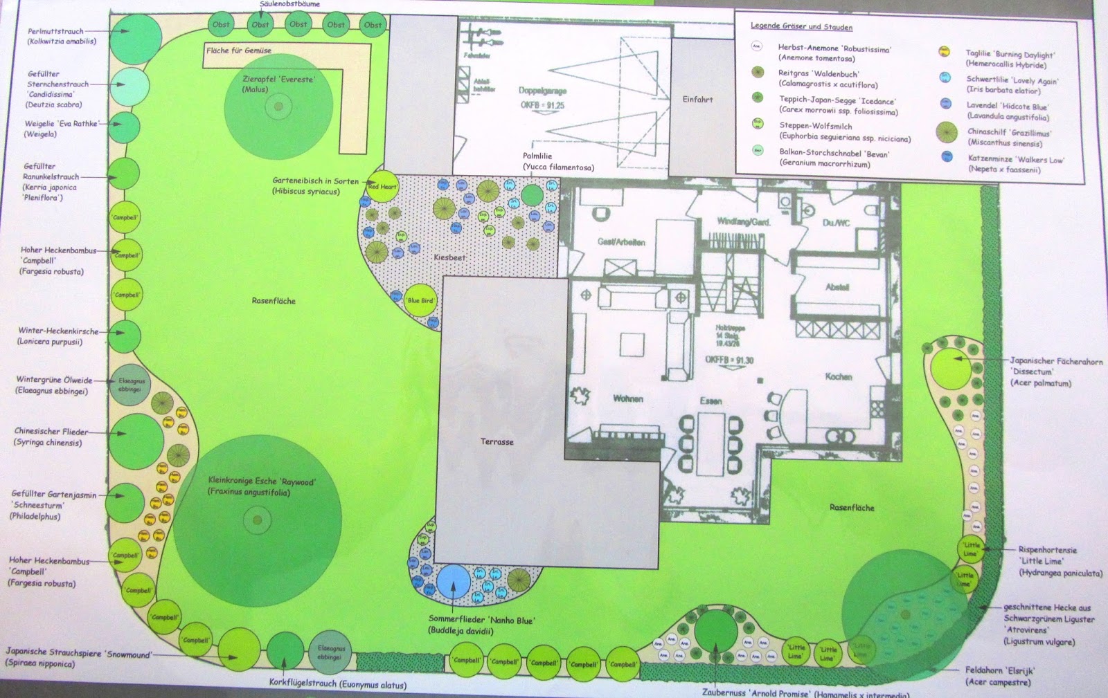 Unser Hausbau mit Davinci Haus Planung des Gartens