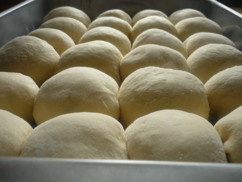 My Kitchen, My Love The World's BEST Dinner Rolls