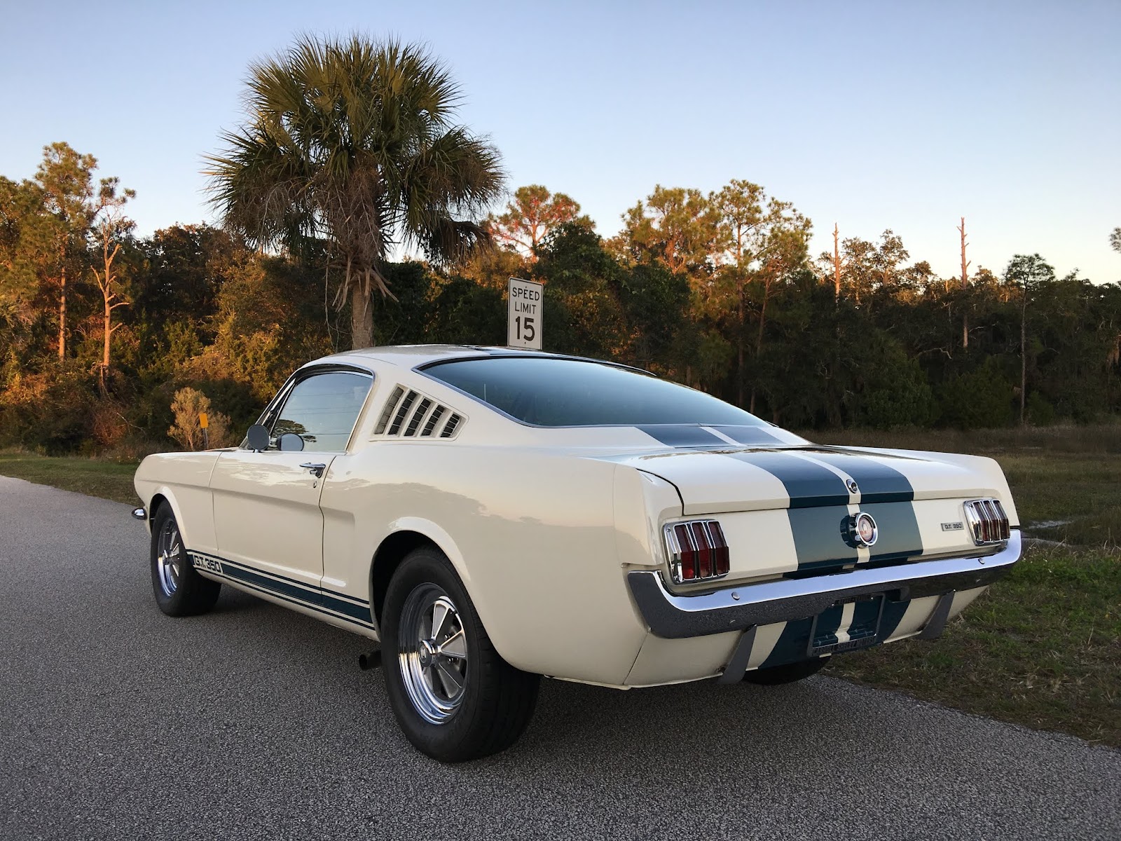 mustang shelby for sale virginia classic mustang blog 1965 shelby gt350 mustang mustang shelby for sale virginia classic mustang blog 1965 shelby gt350 mustang