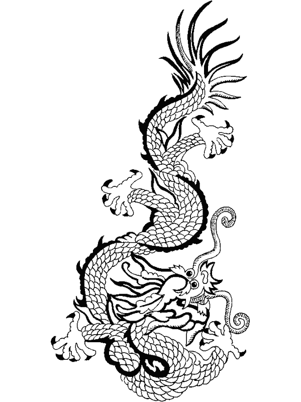 begins the year of the dragon it is the beginning of the year 4709 in title=