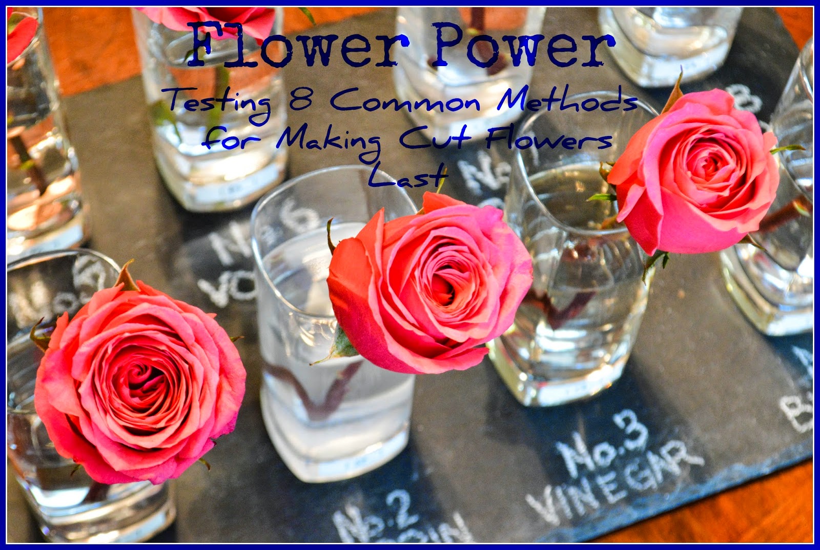 Entertaining Grace Flower Power Testing 8 Common Methods for Making