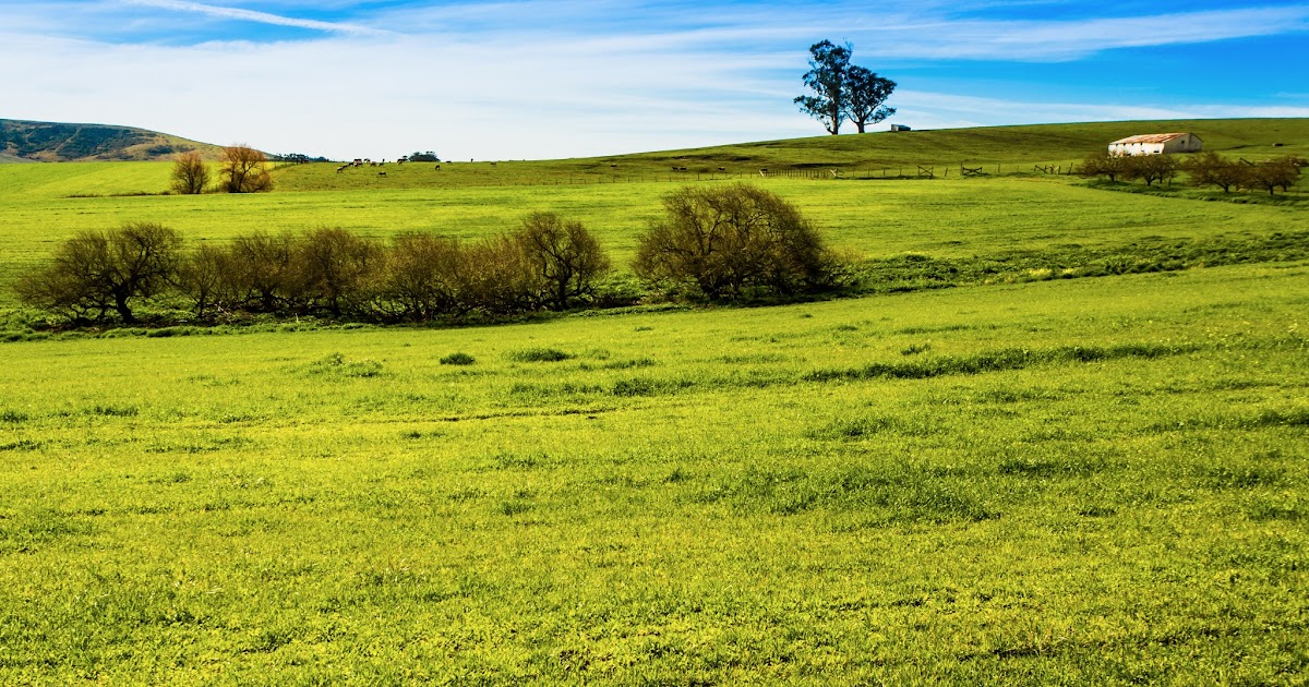 Harpreet Grewal Green Hill Valley Ford, CA