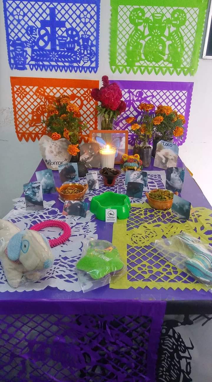 Celebrando dia de muertos!