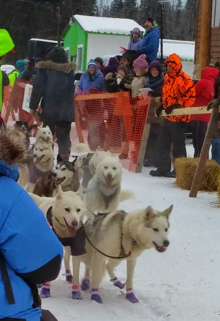 Life in the (907) Copper Basin 300 and they're off!