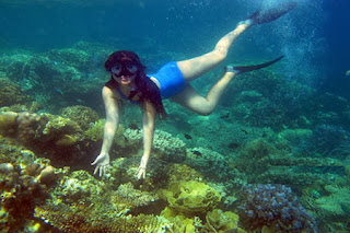Spot Penyelaman di Karimunjawa menyelam di perairan karimunjawa