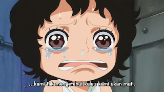 One Piece Episode 614 Subtitle Indonesia | EnterAnimeAccess