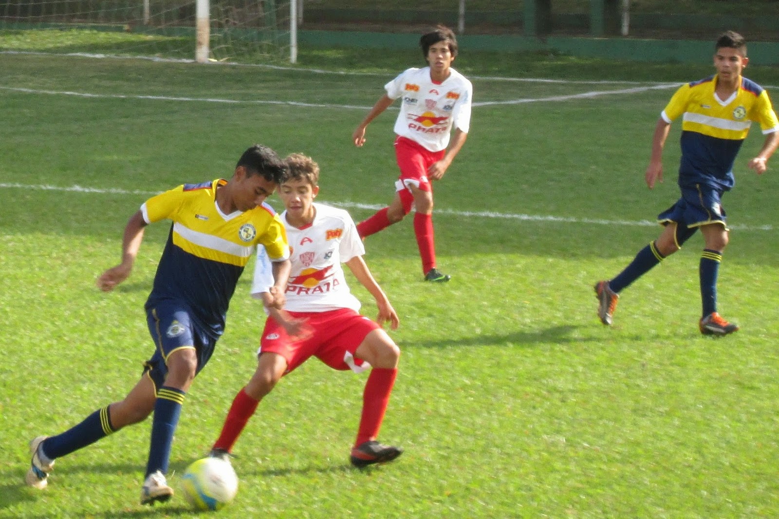 sport brasil apostas
