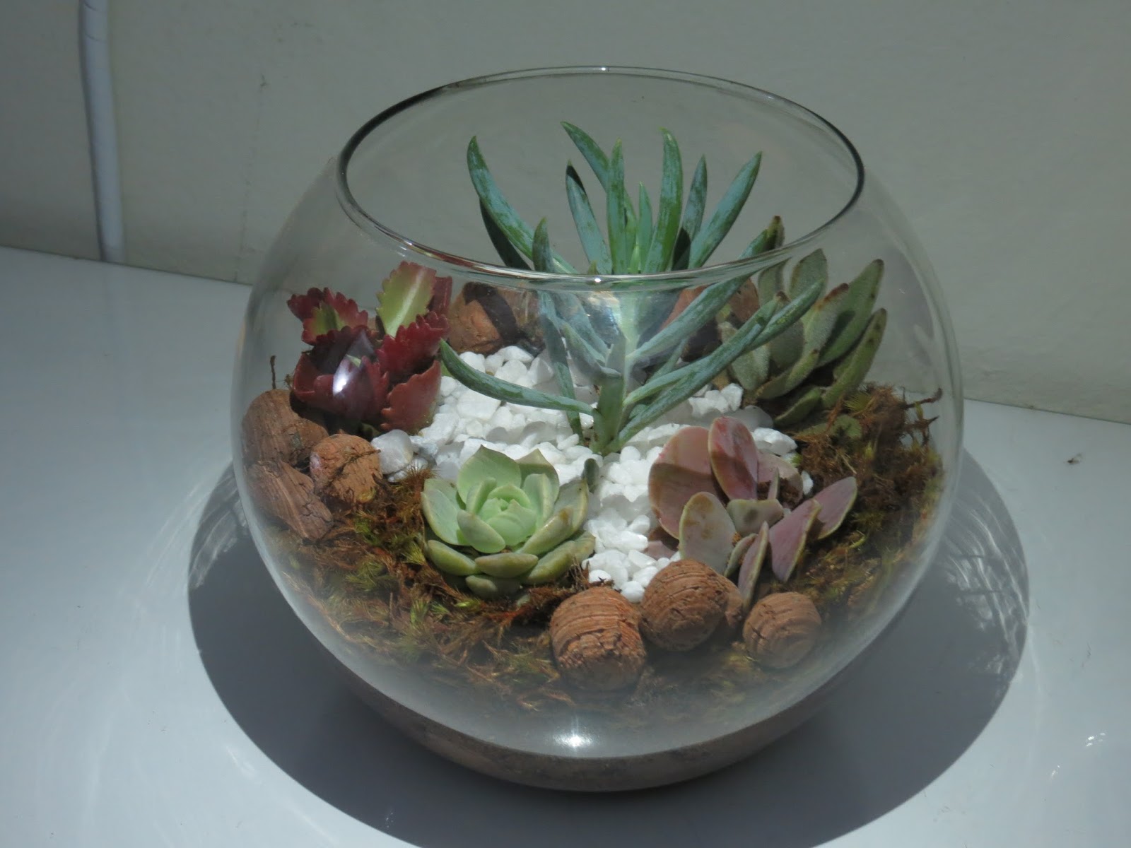 mini jardim de vidro: de nada nessa vida abraços aos parceiros de profissão paulo heib mini jardim de vidro: de nada nessa vida abraços aos parceiros de profissão paulo heib
