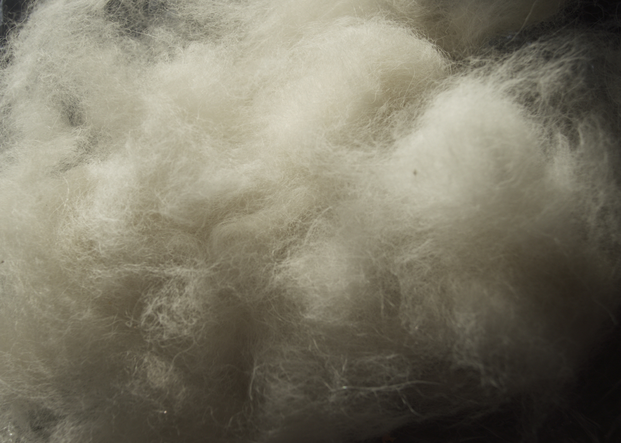 Stitchin' Bints Spinning Samoyed dog fur into yarn