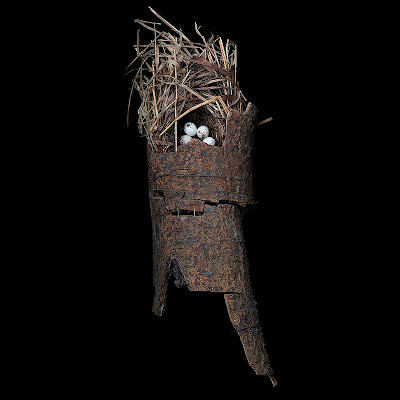 Birds Nests Photography by Sharon Beals Seen On www.coolpicturegallery.us Birds Nests Photography by Sharon Beals Seen On www.coolpicturegallery.us