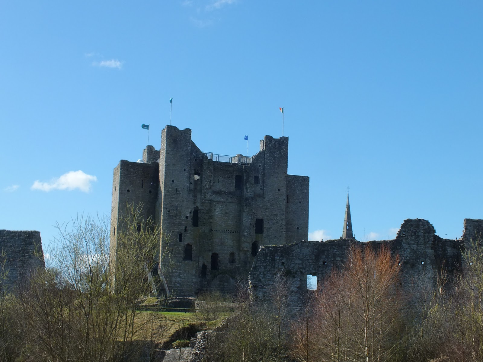 Dispatches from Dublin Terrific Trim!