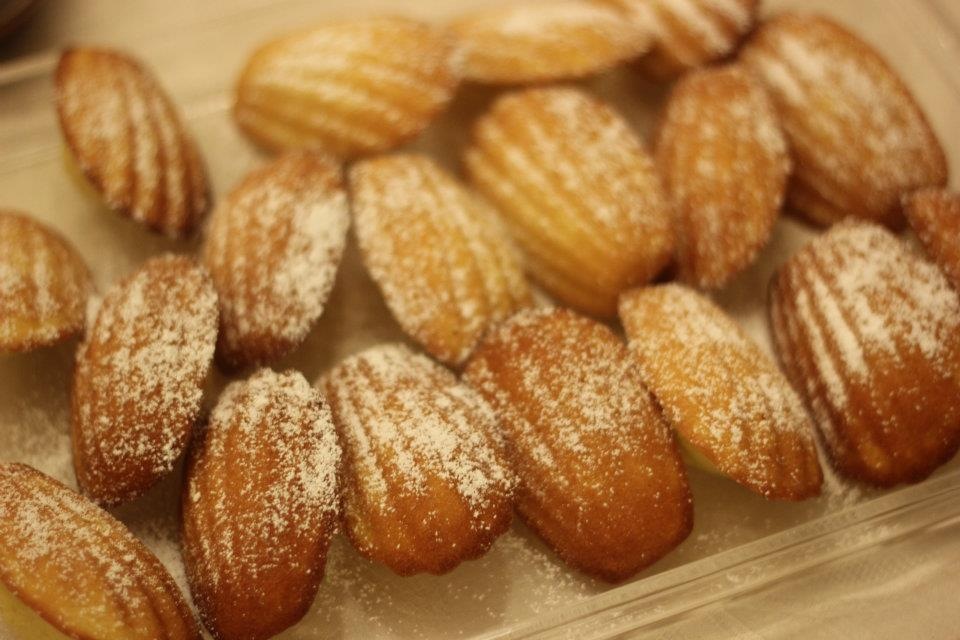 Food Maestro Madeleine Classic