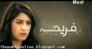 06/30/13 | Pakistan Media Tv