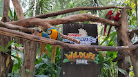 Sunway Wildlife (2)