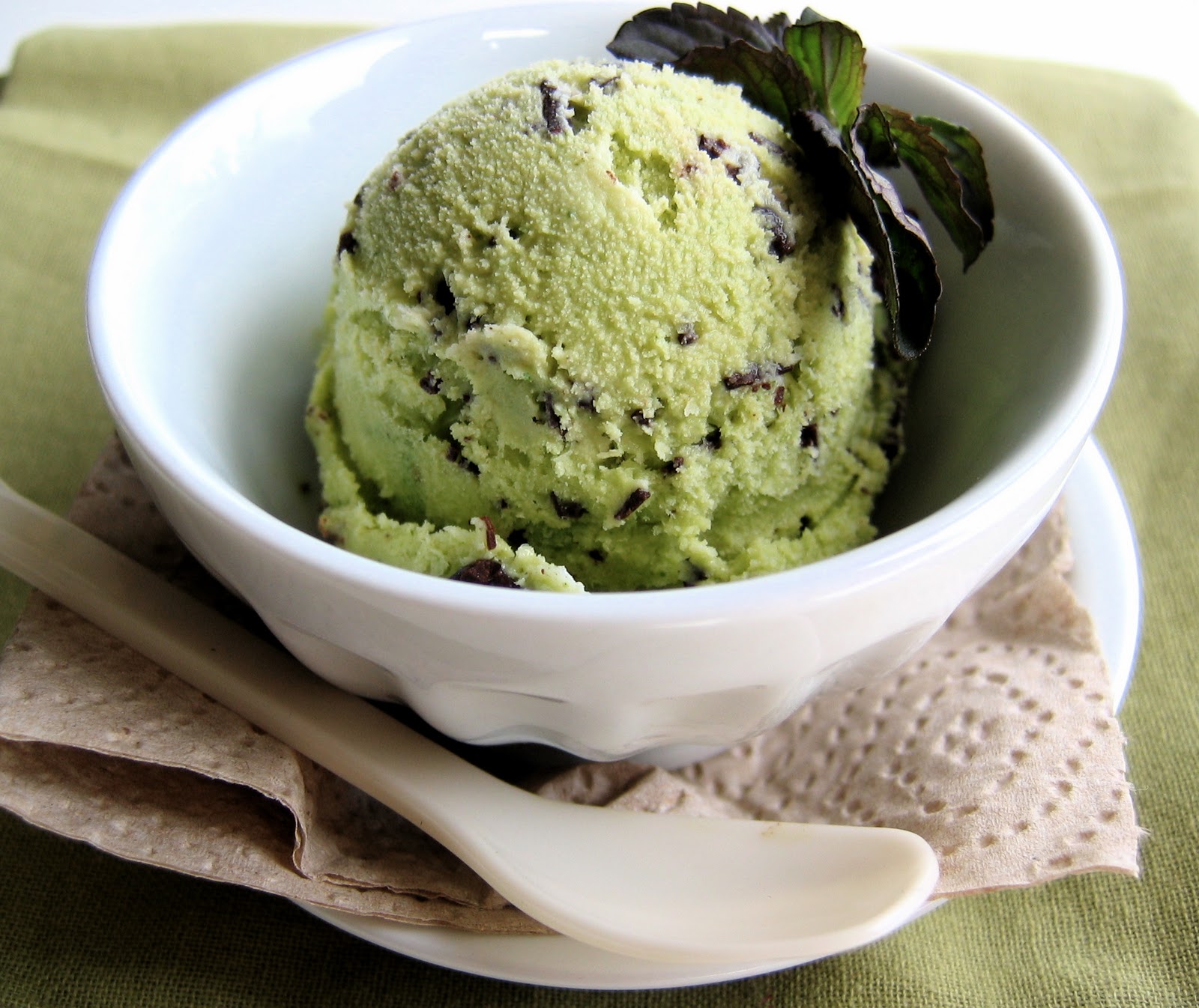 Chocolate Mint Chip Ice Cream • The Bojon Gourmet