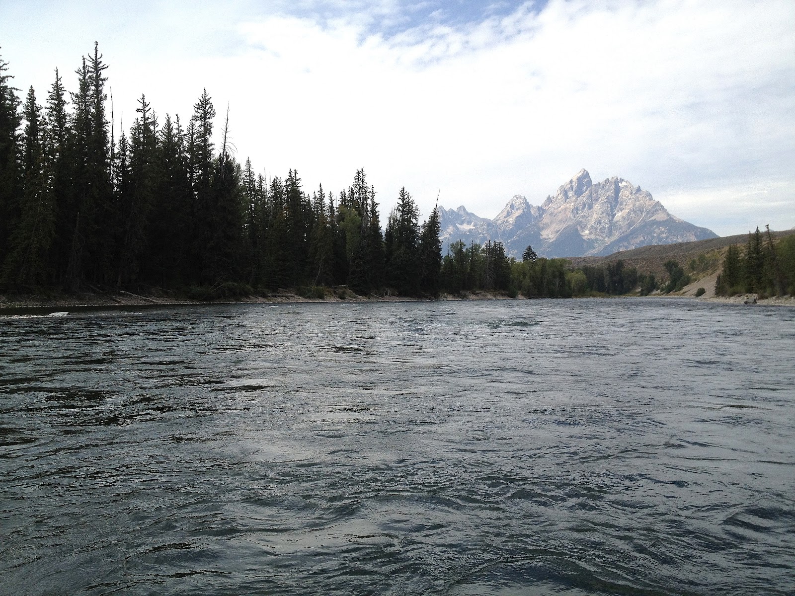 Caravan Tours 2024 Yellowstone Patsy