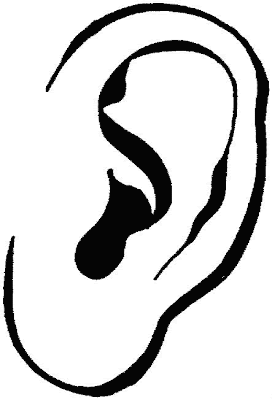 Line Drawing :: Clip Art :: Ear