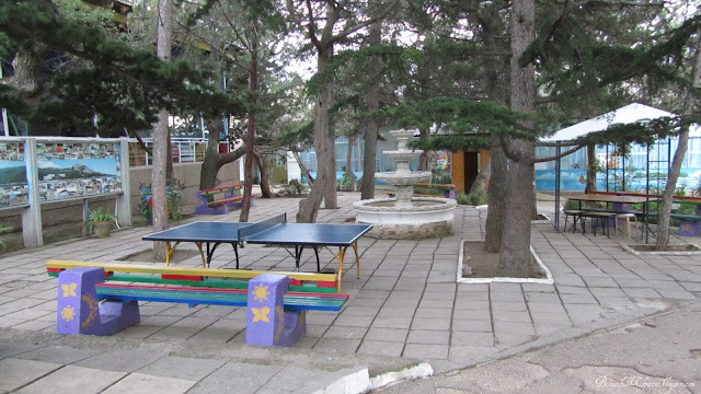 Территория детского лагеря Ласпи