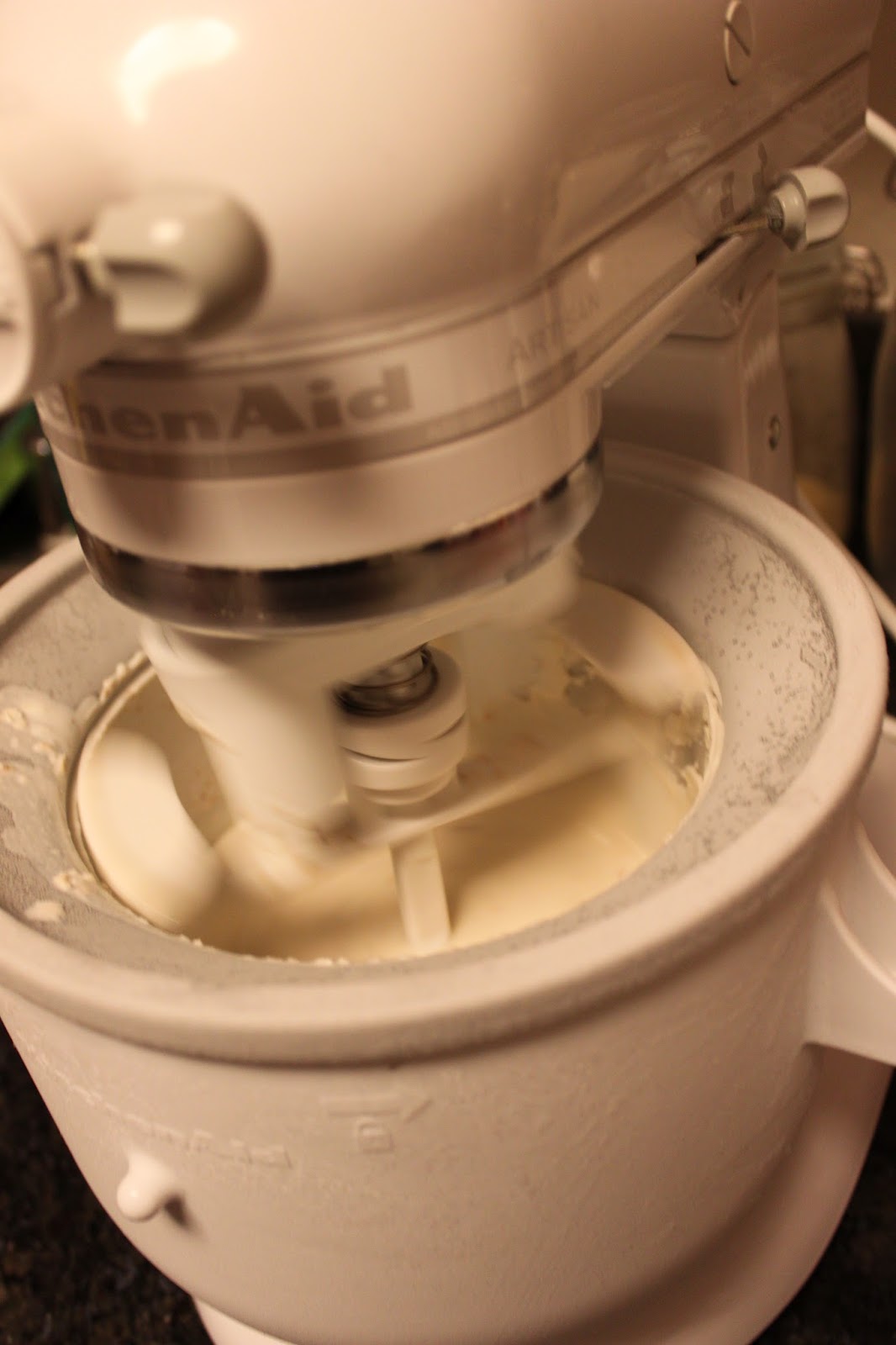 Megsiemay Makes Toasted Coconut Ice Cream