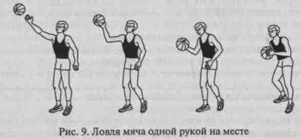 гандбол ловля мяча гандбол ловля мяча
