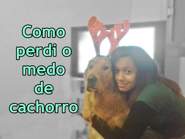 Como perdi o medo de cachorros Ludi e McGee