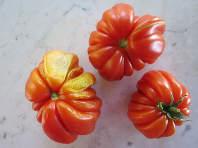 Tomatoes from my garden www.ElizabethMinchilliInRome.com Tomatoes from my garden www.ElizabethMinchilliInRome.com