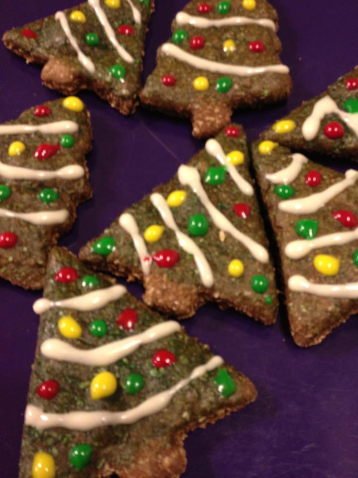 Frosting Fran Gingerbread Dog Treats