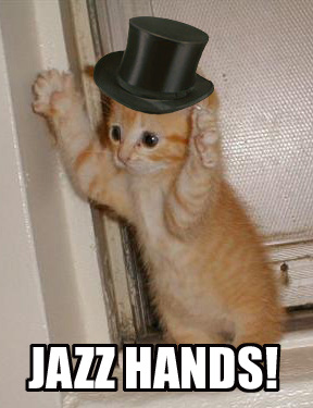 jazz-hands-cat-cats-kitten-kitty-pic-pic