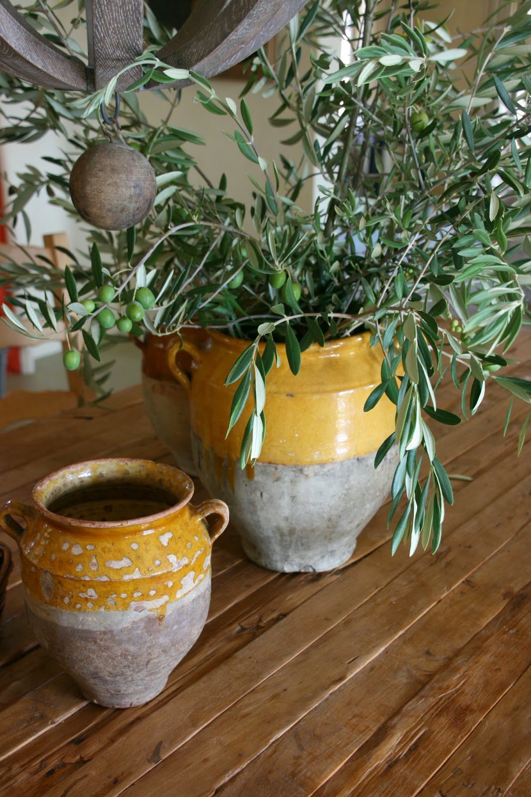 design The Olive Branch