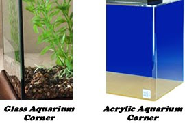 Freshwater Aquarium Tank - What to Buy and How to Set it Up