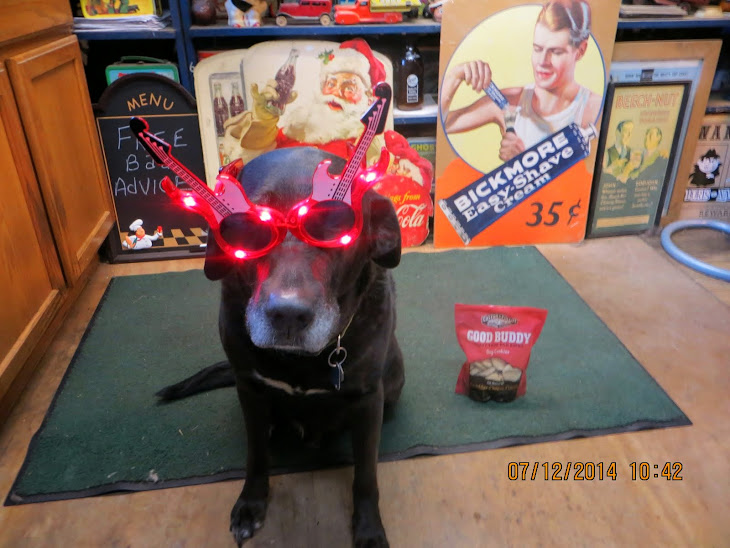 The Blog Cam dog Buddy L and his new Brady Lake Village Guarding Glasses with the optional lites.